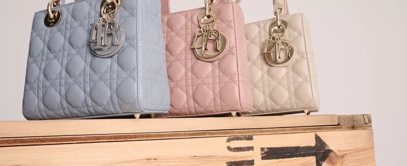 De Lady Dior au Book Tote : l’attrait éternel des sacs tendance de Dior