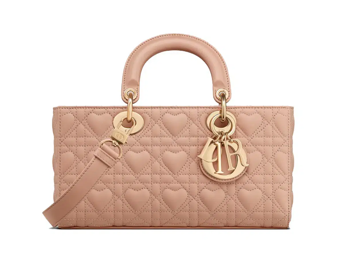 Dior MEDIUM LADY D JOY sac Motif coeur