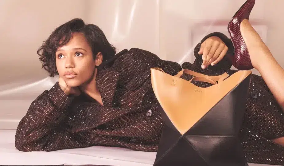 Loewe Réinvente ses Signatures de Marque en Bi-Coloris Audacieux pour l'Automne 2023