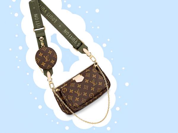 Louis Vuitton Multi Pochette Accessoires