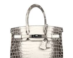 hermes Birkin Himalaya Matte 30