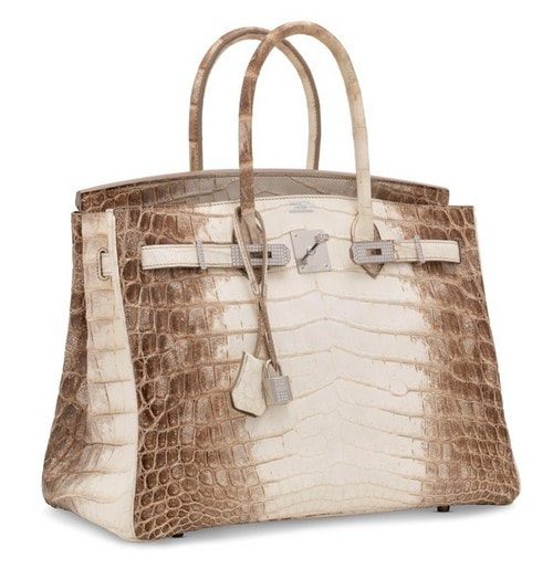 Niloticus Crocodile crocodile Himalaya Birkin