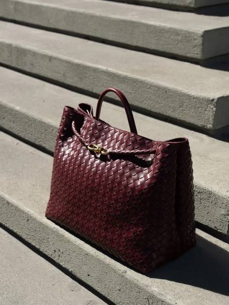 sac Bottega Veneta Andiamo Tote 2