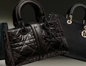 sac Dior Lady D Sire