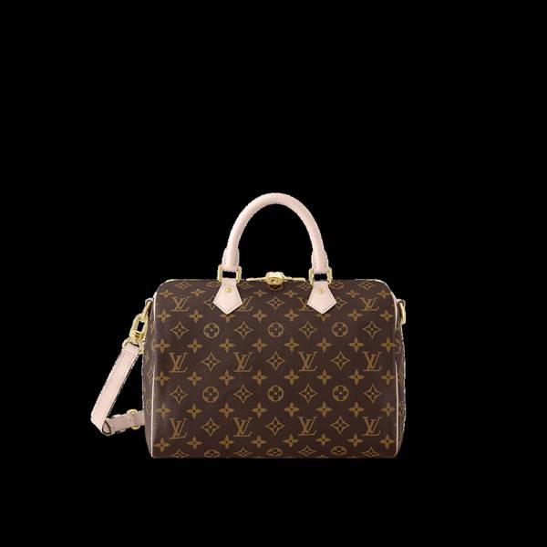 Sac Louis Vuitton sac Speedy à bandoulière 30 toile Monogram sacs à main