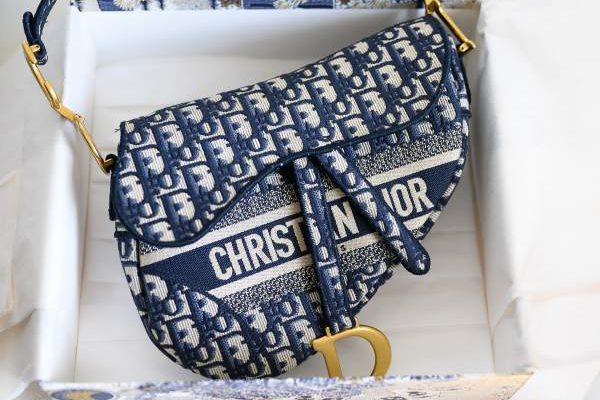 Nouveau sac saddle Dior oblique en toile brodée