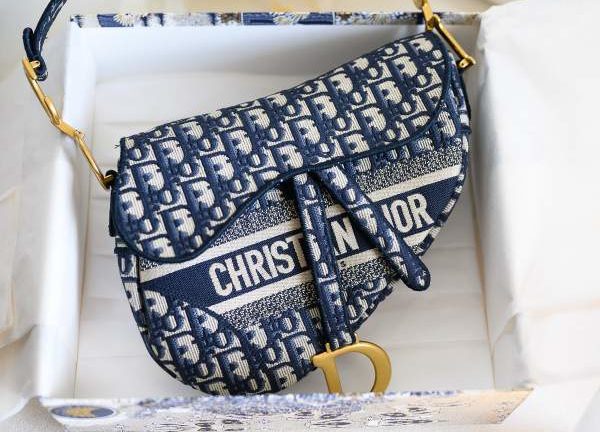 Dior Sac De Jour 2024 favors